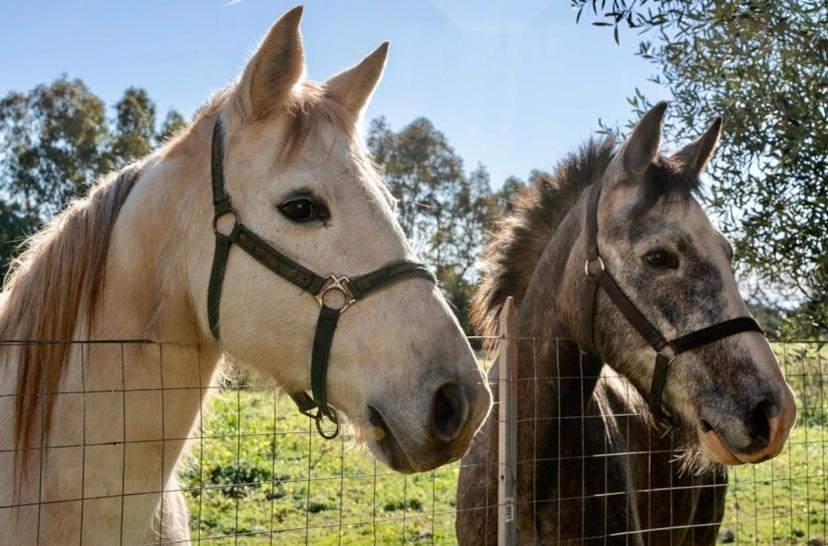 Casa Provence Family & Friends Mare & Natura Alghero Luaran gambar